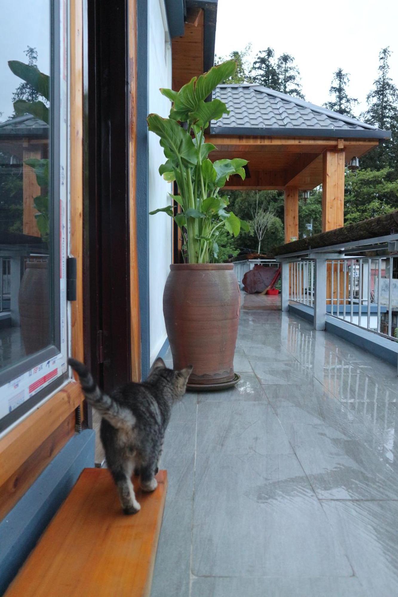 May Nui Homestay ซาปา ภายนอก รูปภาพ